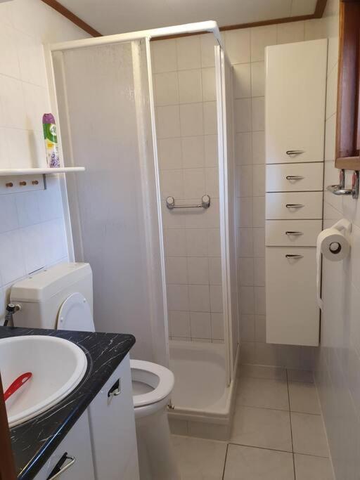 Cozy Chalet For 4 Veluwe Putten Zewnętrze zdjęcie